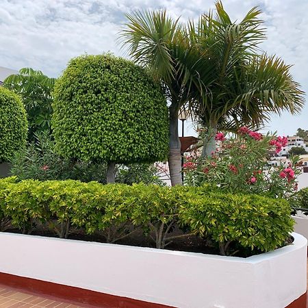 Ocean Breeze And Seaview Resort Costa Adeje  Esterno foto