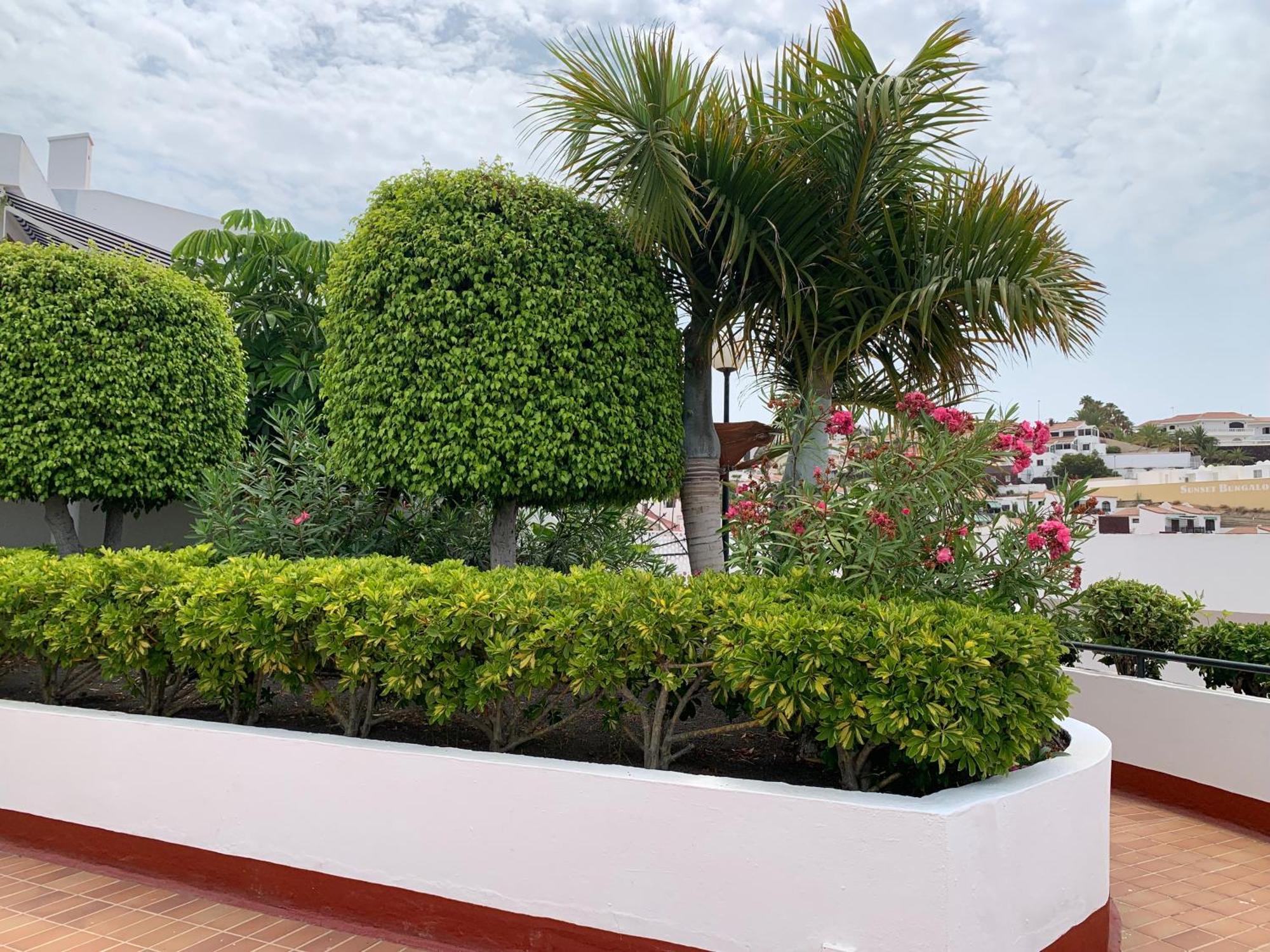 Ocean Breeze And Seaview Resort Costa Adeje  Esterno foto